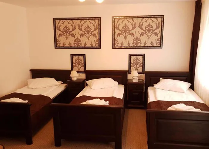 Hotel Popasul Regelui Transalpina