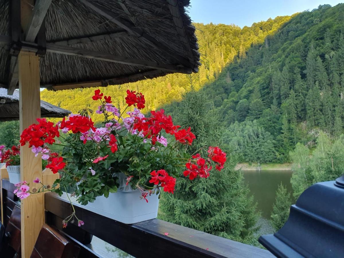 Popasul Regelui Transalpina 3* Tau Bistra
