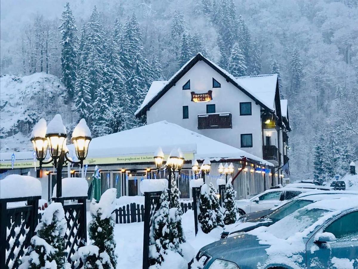 Popasul Regelui Transalpina Hotel
