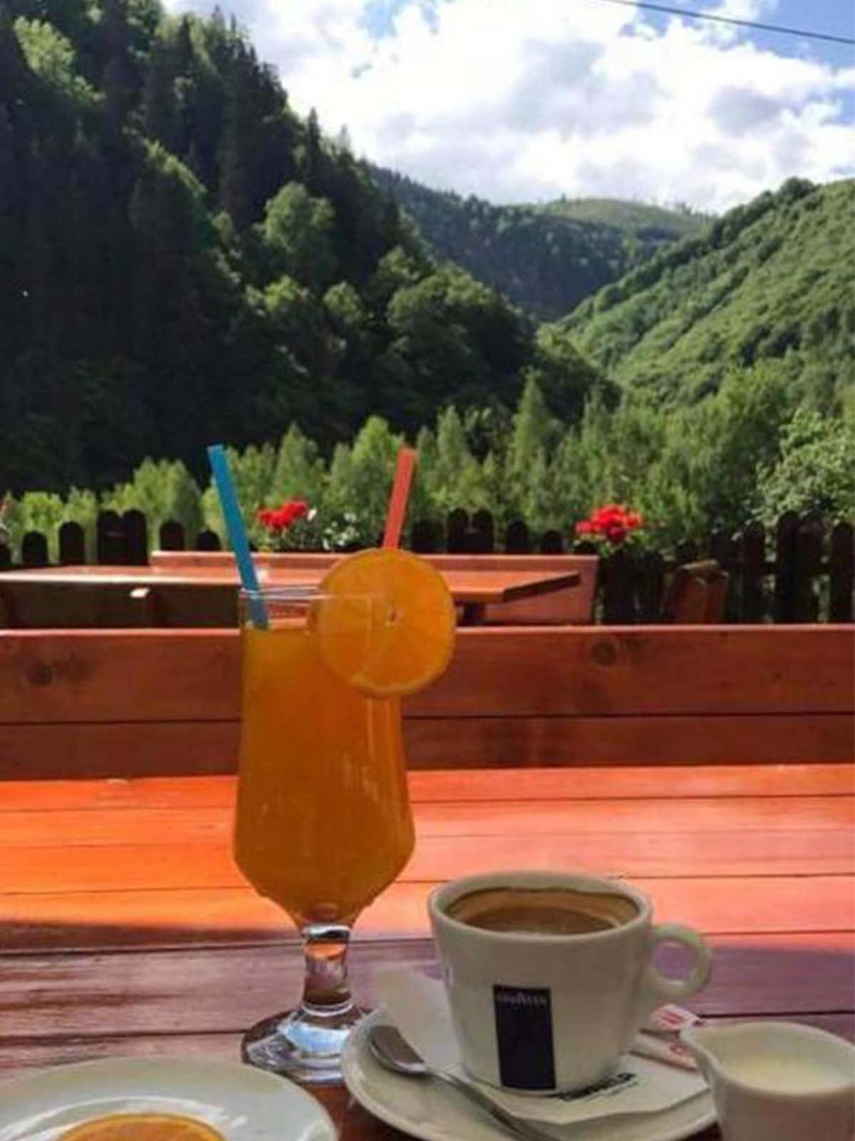 Popasul Regelui Transalpina 3* Tau Bistra