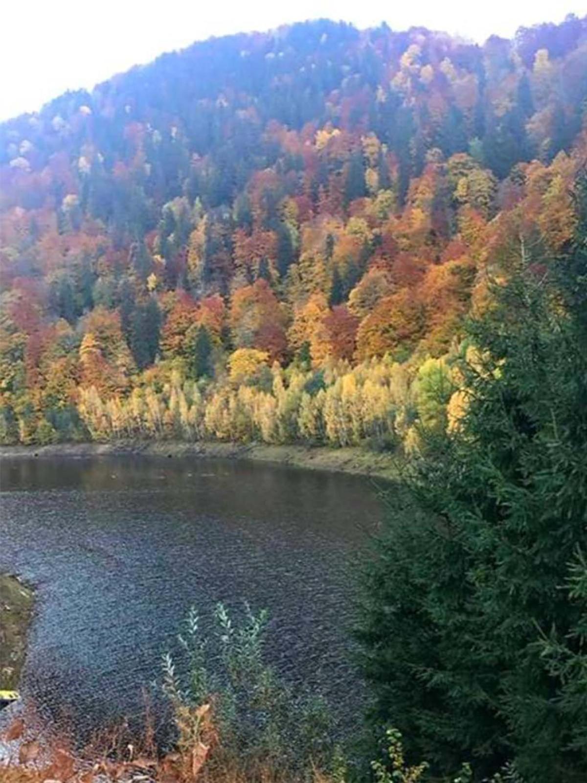 Popasul Regelui Transalpina Hotel